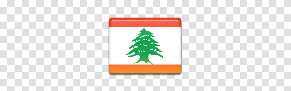 World Flags, Countries, Tree, Plant, Ornament Transparent Png