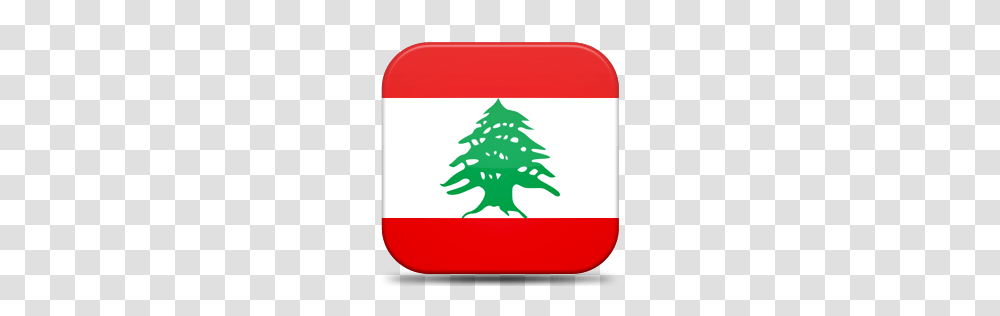 World Flags, Countries, Tree, Plant Transparent Png