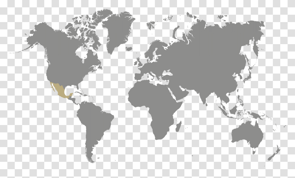 World Map Two Color, Diagram, Plot, Atlas, Astronomy Transparent Png