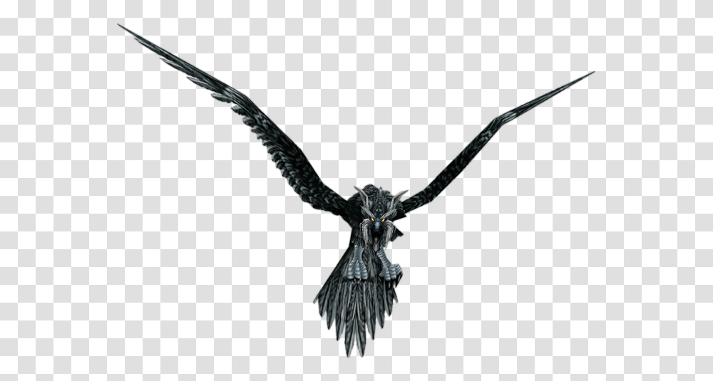 World Of Warcraft Wiki Storm Crow, Bird, Animal, Sculpture Transparent Png