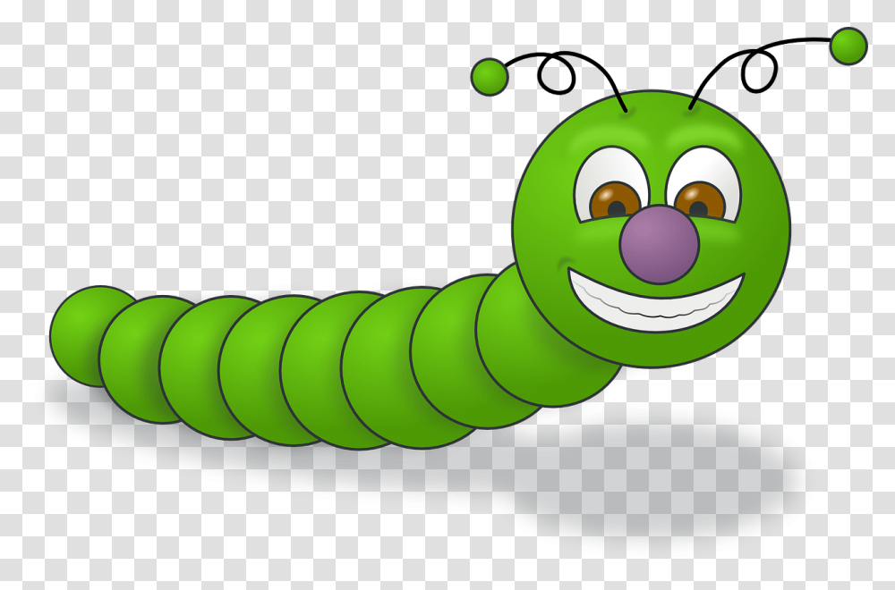 Worm Clipart, Animal, Photography, Invertebrate, Plant Transparent Png