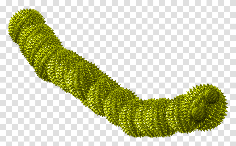 Worm Green Spiky Worm Virus Computer Worm, Plant, Leaf, Bush, Vegetation Transparent Png