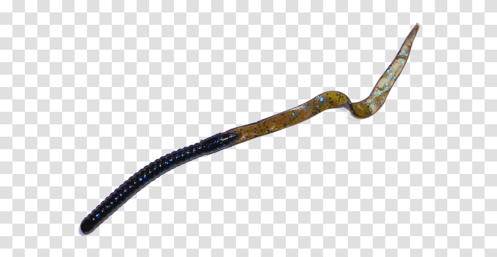 Worm Marine Marine Worms, Wand, Weapon, Weaponry, Tool Transparent Png