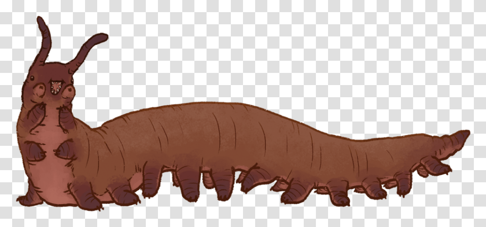 Worms Giant Onychophora, Animal, Mammal, Soil, Wildlife Transparent Png