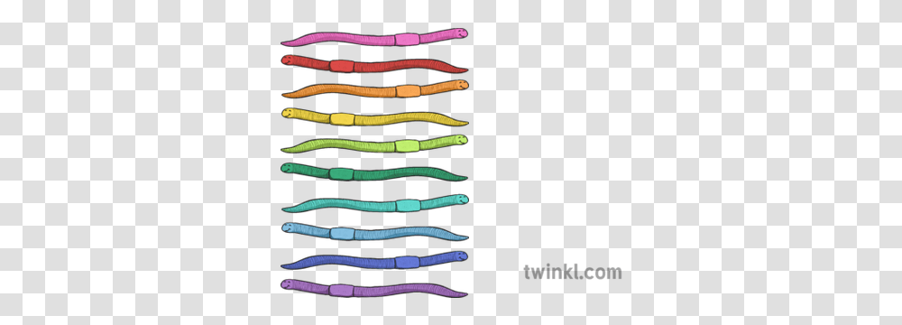Worms Illustration Twinkl Wire Transparent Png