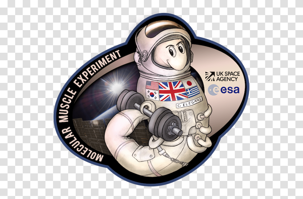 Worms In Space Logo Worms In Space, Person, Human, Astronaut Transparent Png