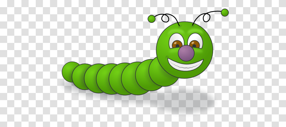 Worms, Insect, Animal, Invertebrate, Photography Transparent Png