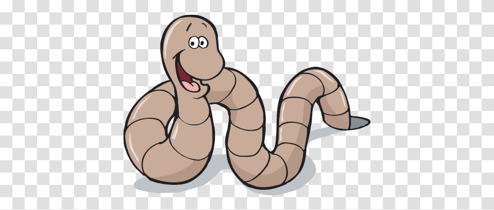 Worms, Insect, Animal, Invertebrate Transparent Png