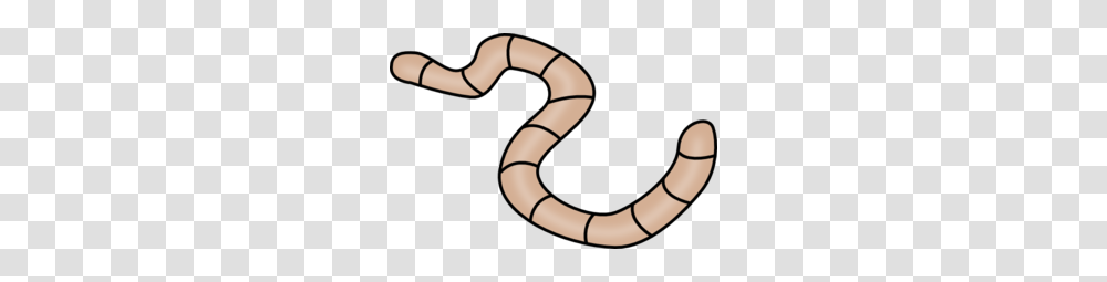 Worms, Insect, Person, Human, Stick Transparent Png