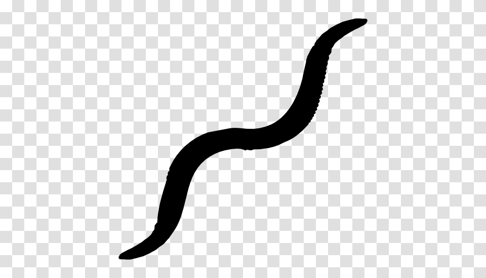 Worms, Insect, Stencil, Silhouette Transparent Png