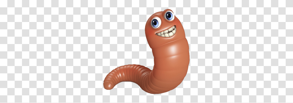 Worms, Insect, Toy, Invertebrate, Animal Transparent Png