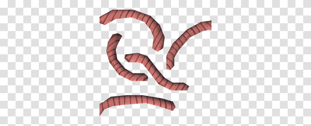 Worms Millipedes, Animal, Invertebrate, Person, Human Transparent Png