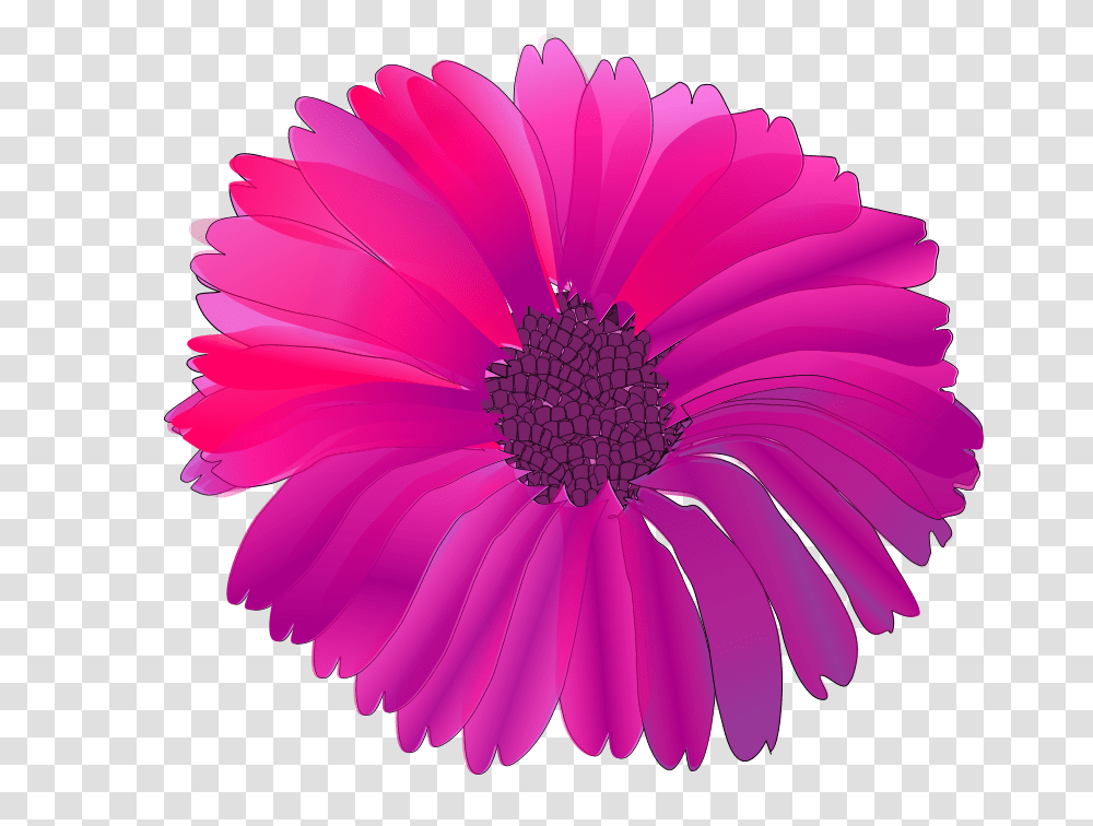 Worms X Flower Pink, Nature, Plant, Daisy, Daisies Transparent Png