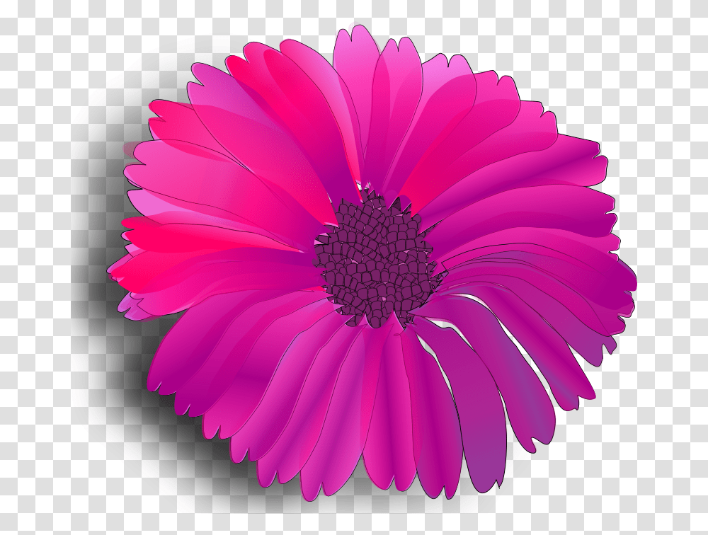 Worms X Flower Pink, Nature, Plant, Daisy, Daisies Transparent Png