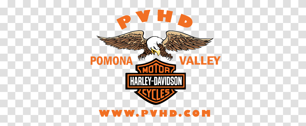 Worry Free Extended Winter Warranty 2020 Pomona Valley Harley Davidson, Eagle, Bird, Animal, Poster Transparent Png