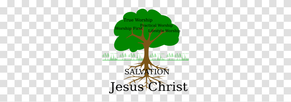 Worship Clip Art, Root, Plant, Tree, Poster Transparent Png