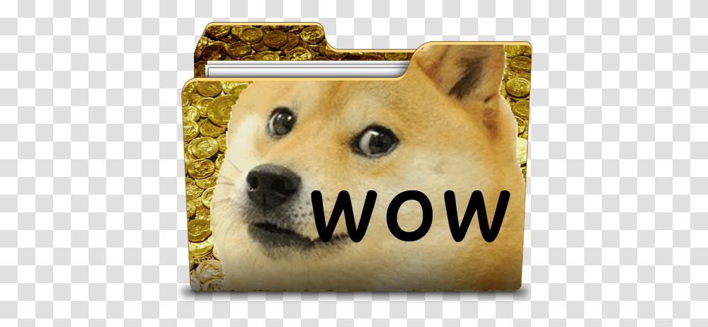 Wow So Icon Very Desktop Ico In Comments Dogecoin Someone Touch My Hair, Text, Pet, Animal, Canine Transparent Png