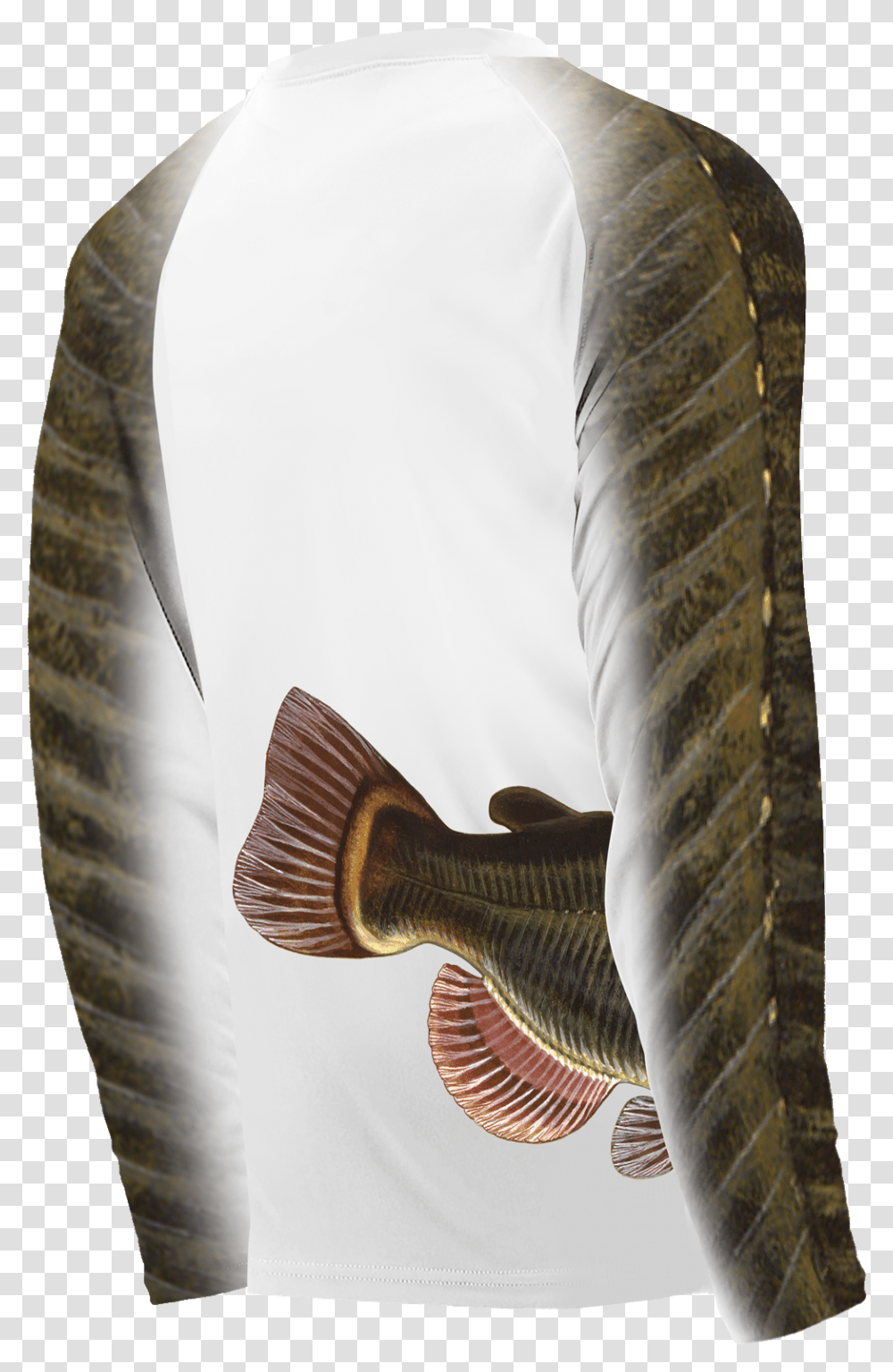 Wrap Around Catfish Russula Integra, Sleeve, Apparel, Animal Transparent Png
