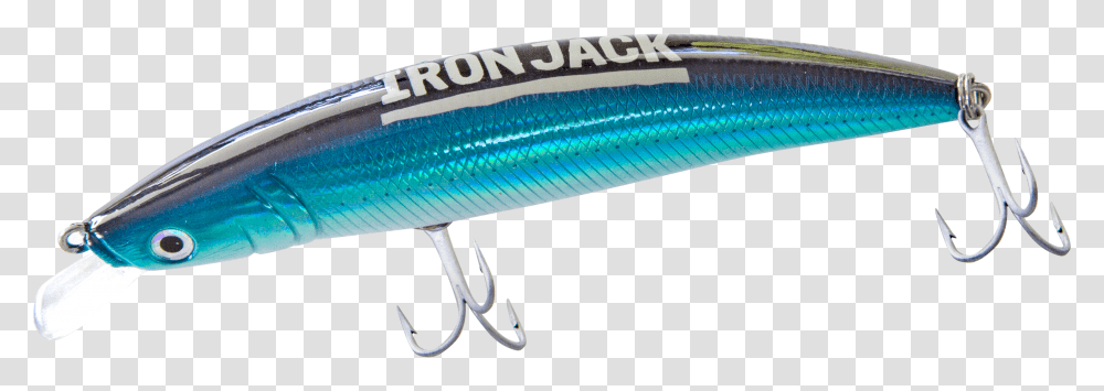 Wrasses, Fishing Lure, Bait Transparent Png
