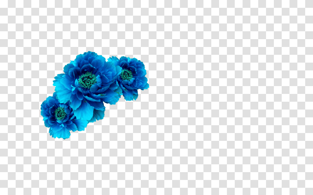 Wreath Aqua Transp Free Blue Flower Blue Flowers Crown, Dahlia, Plant, Blossom, Carnation Transparent Png
