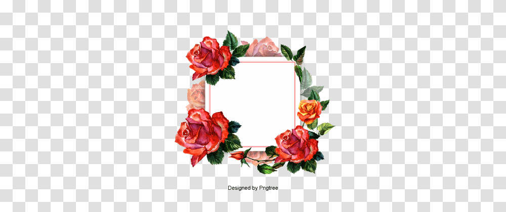 Wreath Border Vectors And Clipart For Free Download, Rose, Flower, Plant, Blossom Transparent Png