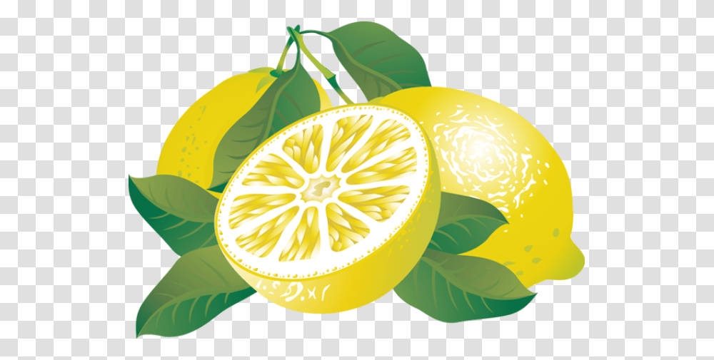 Wreath Clipart Citrus, Plant, Citrus Fruit, Food, Lemon Transparent Png