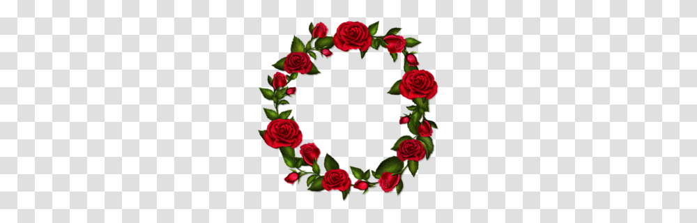 Wreath Clipart, Rose, Flower, Plant, Blossom Transparent Png