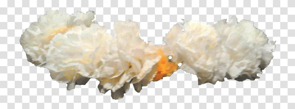 Wreath Flowers On Head, Carnation, Plant, Blossom, Popcorn Transparent Png