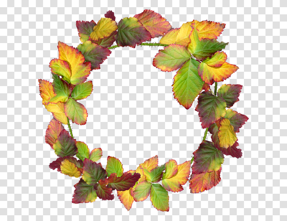 Wreath Leaves Autumn Fall Nature Garden Frame Autumn Wreath, Plant, Leaf, Flower, Blossom Transparent Png