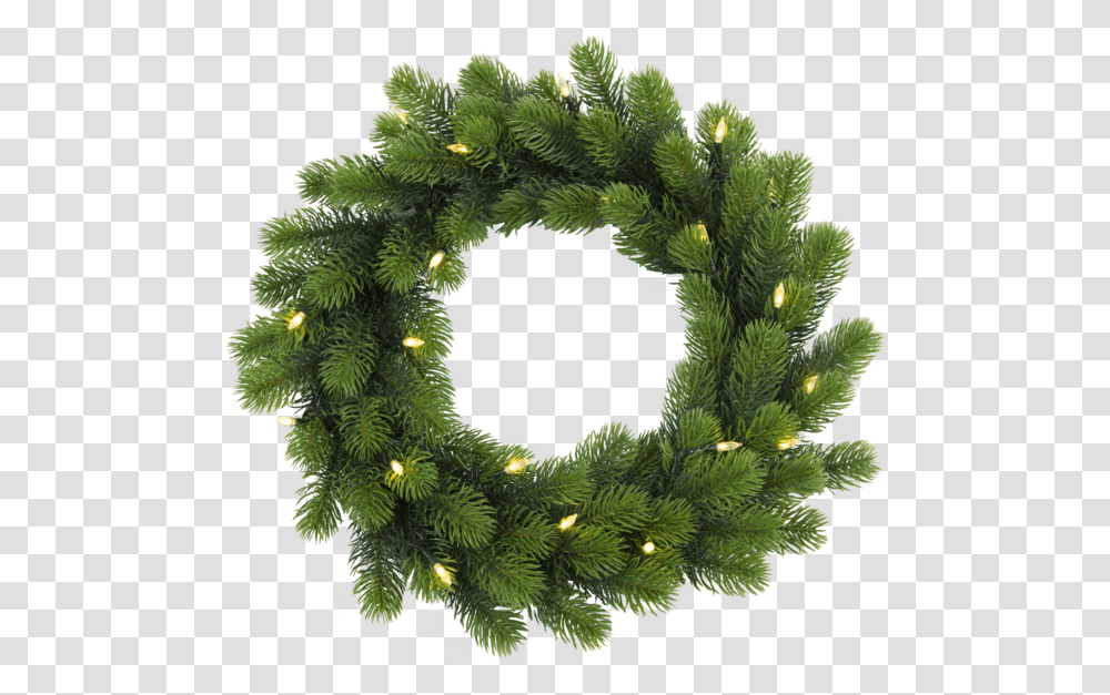 Wreath Orsa Vainikas Su Lemputmis, Tree, Plant, Christmas Tree, Ornament Transparent Png