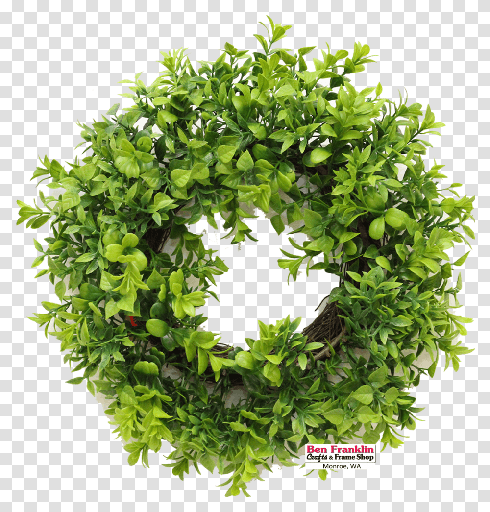 Wreath, Plant, Vegetation Transparent Png