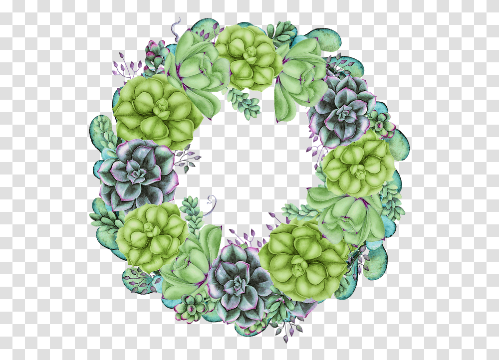 Wreath Succulent Floral Free Image On Pixabay Watercolor Succulent Wreath Transparent Png