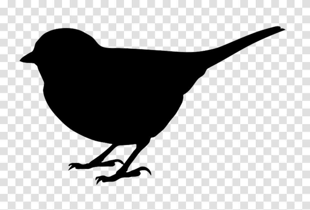 Wren Clipart Art, Bird, Animal, Blackbird, Agelaius Transparent Png