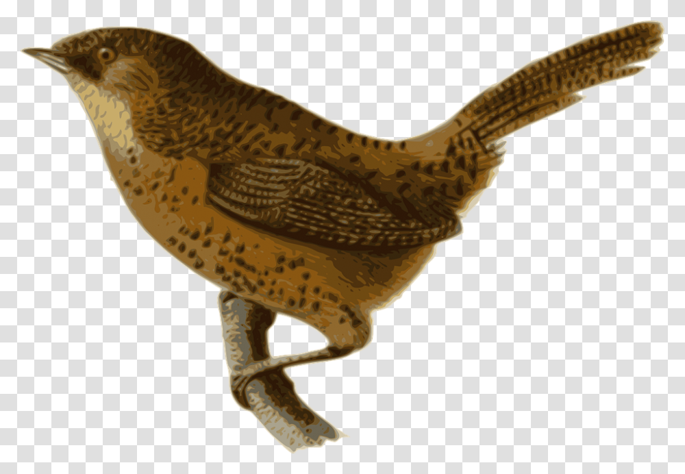 Wrens, Bird, Animal, Dinosaur, Reptile Transparent Png