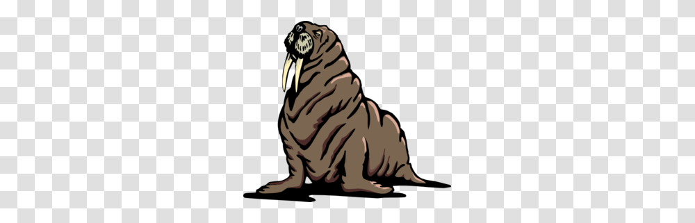 Wrinkled Walrus Clip Art, Animal, Mammal, Sea Life, Tiger Transparent Png