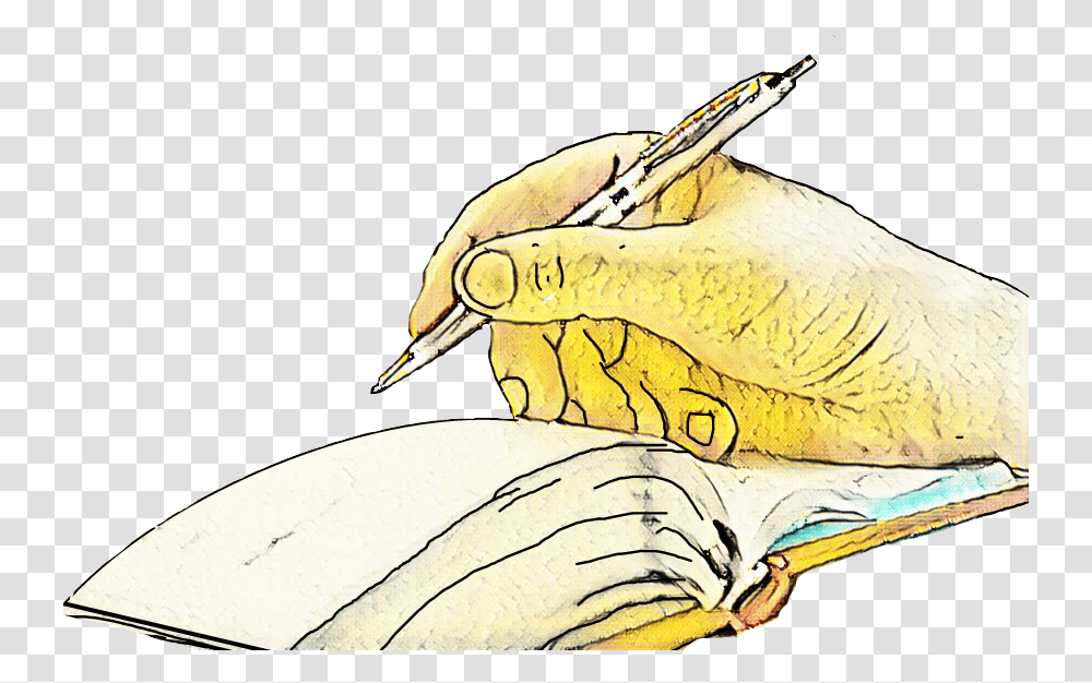 Write Hand Notebook Pen Illustration, Banana, Beak, Bird, Animal Transparent Png