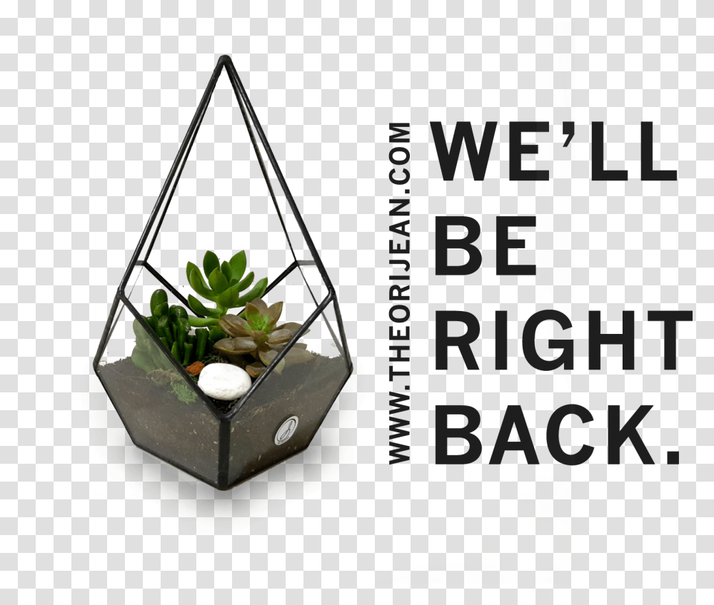 Wrong Way Go Back Sign, Potted Plant, Vase, Jar, Pottery Transparent Png
