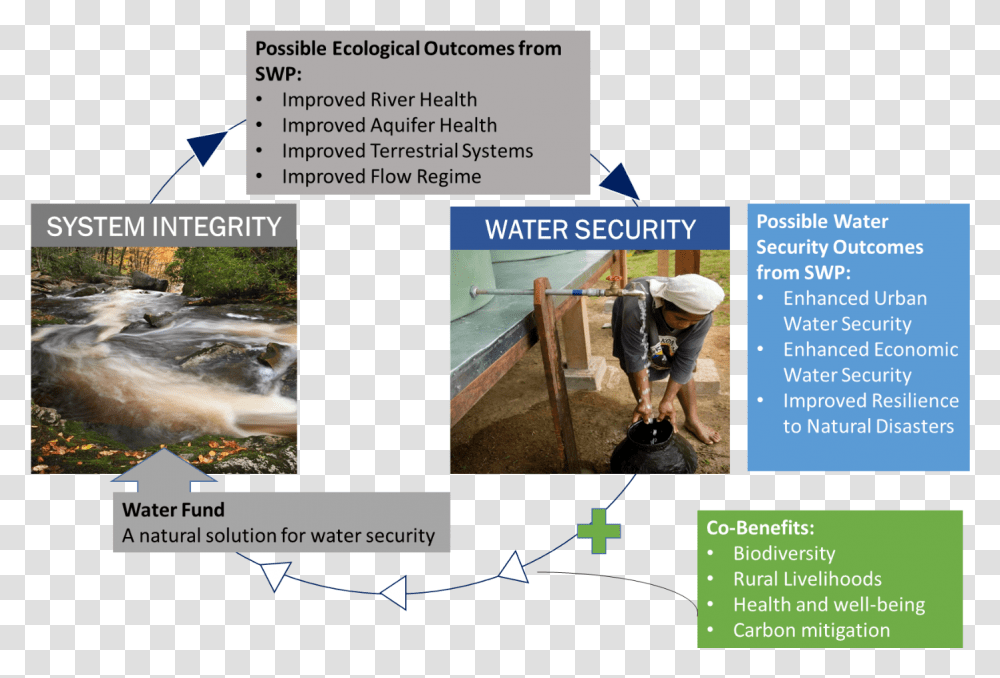 Ws Ecosystemintegrity Mtime Brochure, Person, Outdoors, Water Transparent Png