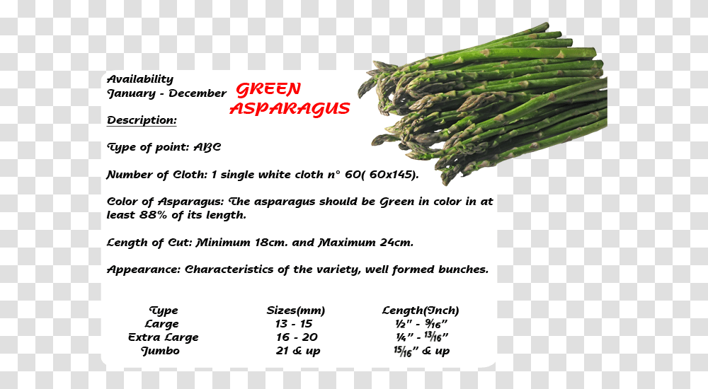 Wstgme World Star Traders Group Asparagus, Plant, Vegetable, Food, Menu Transparent Png