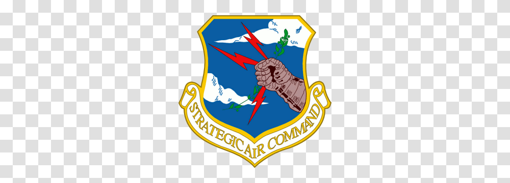 Wurtsmith Afb, Armor, Emblem, Logo Transparent Png