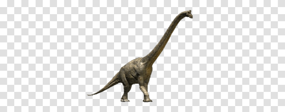 Wwd Brachiosaurus Render, Dinosaur, Reptile, Animal, T-Rex Transparent Png