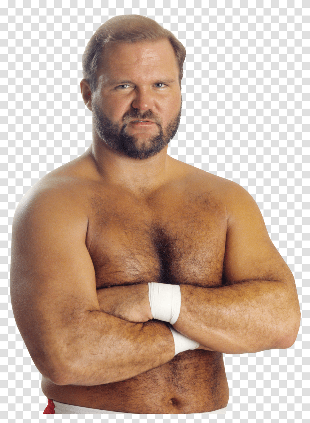 Wwe Arn Anderson Transparent Png