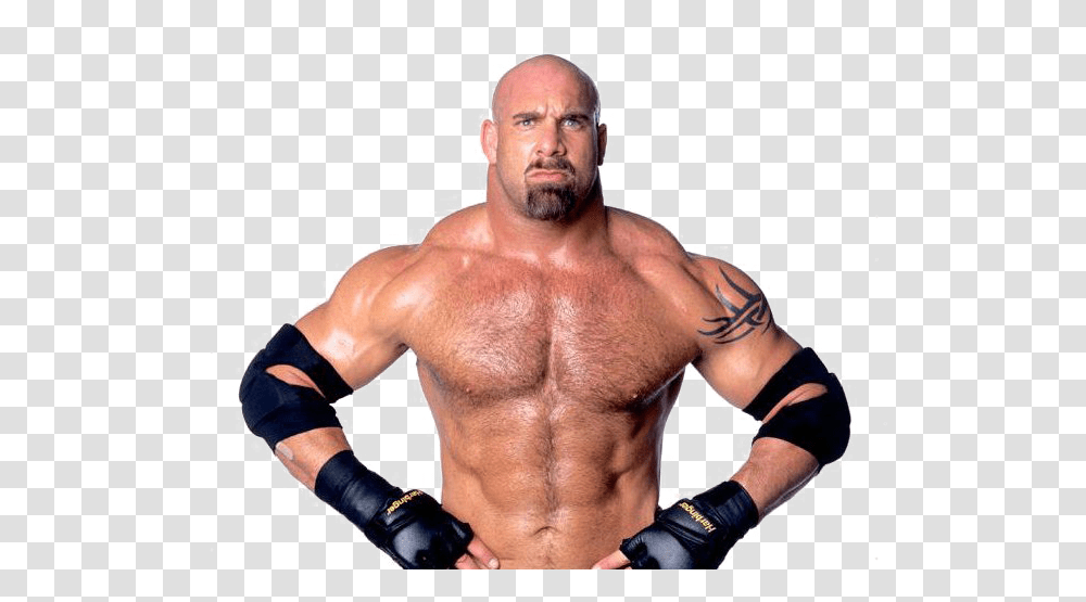Wwe Images Free Download, Person, Human, Skin, Face Transparent Png