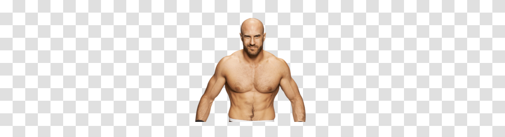 Wwe Live Australia, Person, Human, Face, Torso Transparent Png