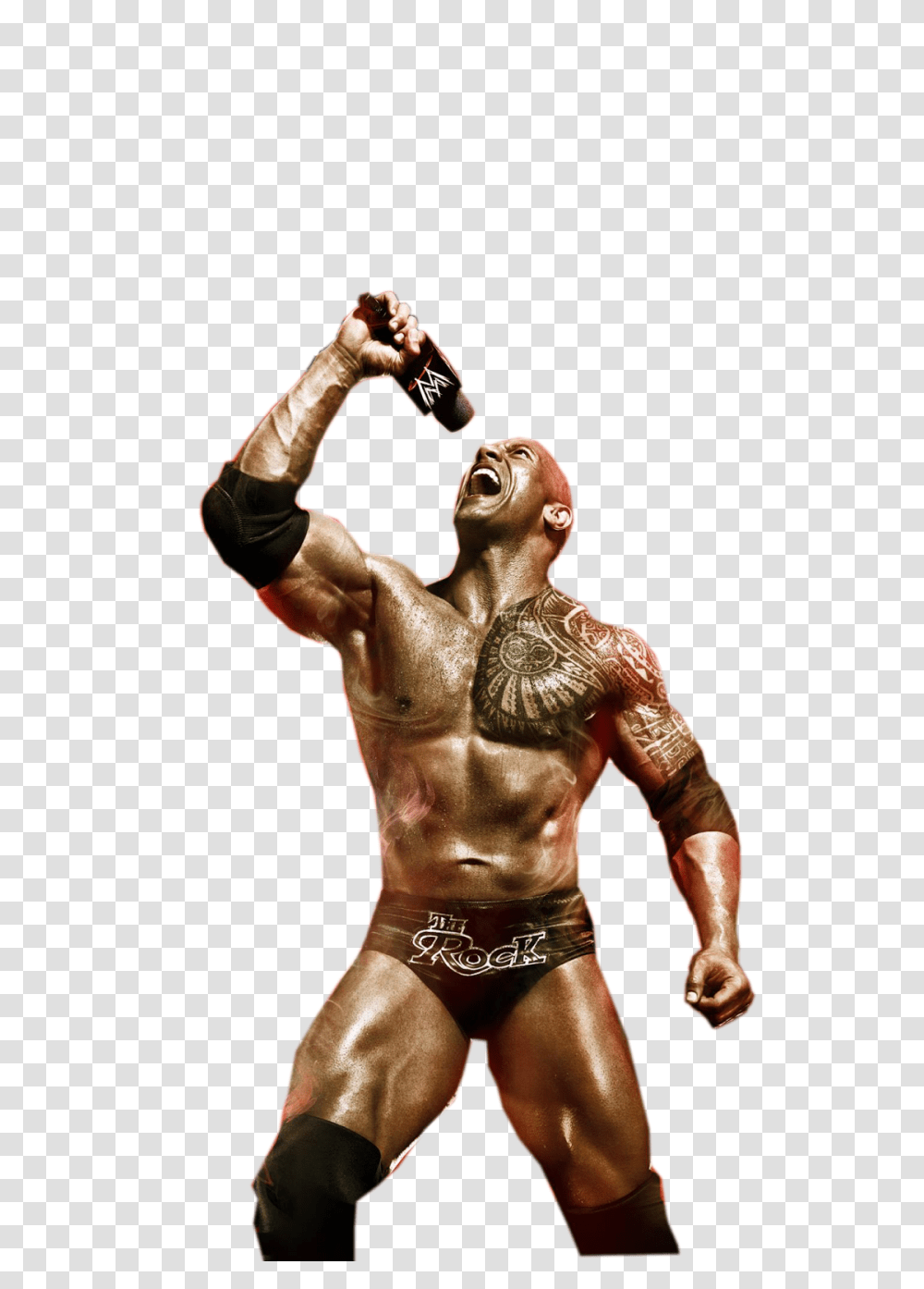 Wwe Superstars Download Wwe The Rock, Person, Human, Arm, Skin Transparent Png
