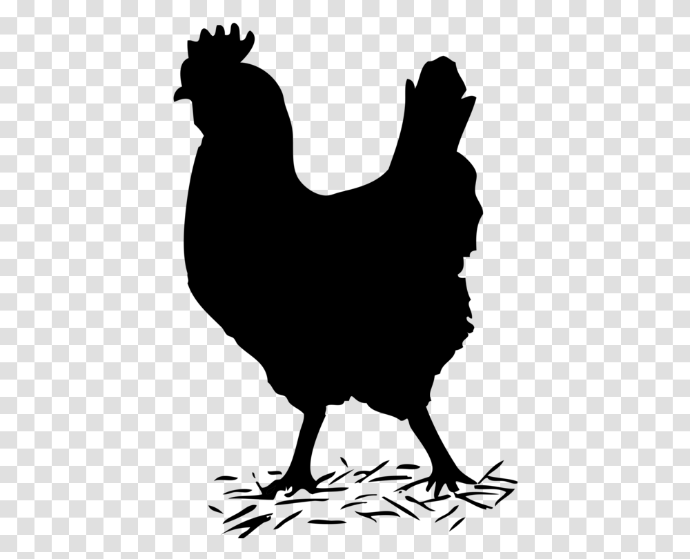 Wyandotte Chicken Rhode Island Red Rooster Galliformes Poultry, Gray, World Of Warcraft Transparent Png