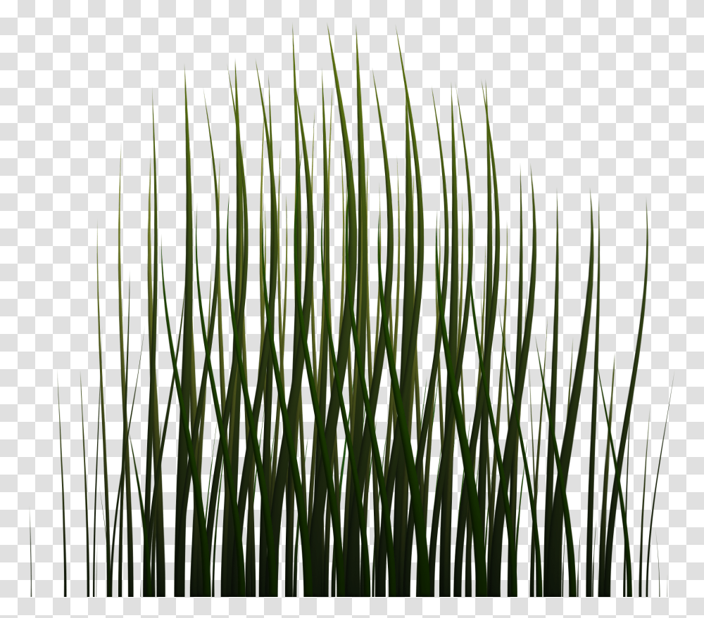 X 1024 Game Grass Texture, Plant, Lawn, Reed, Agropyron Transparent Png