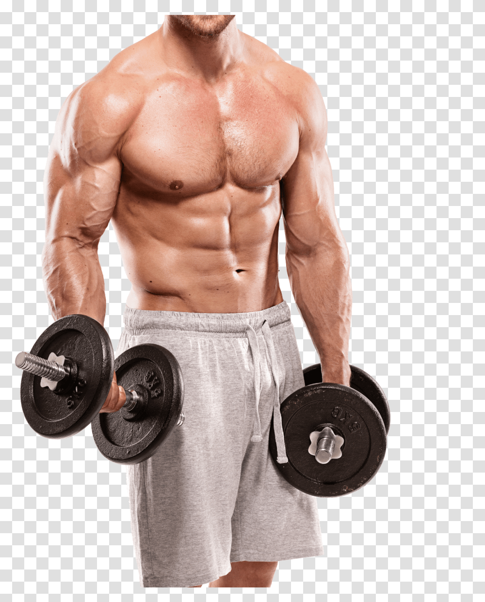 X 1433 Gym Workout, Person, Human, Fitness, Working Out Transparent Png