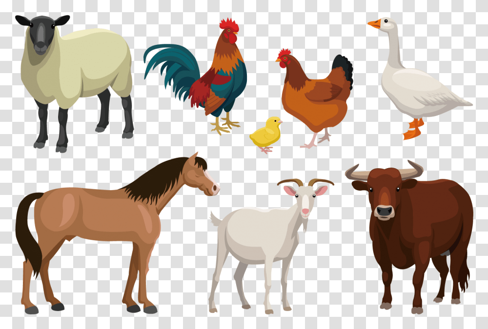 X 1500 Farm Animals Vector, Cow, Cattle, Mammal, Bird Transparent Png
