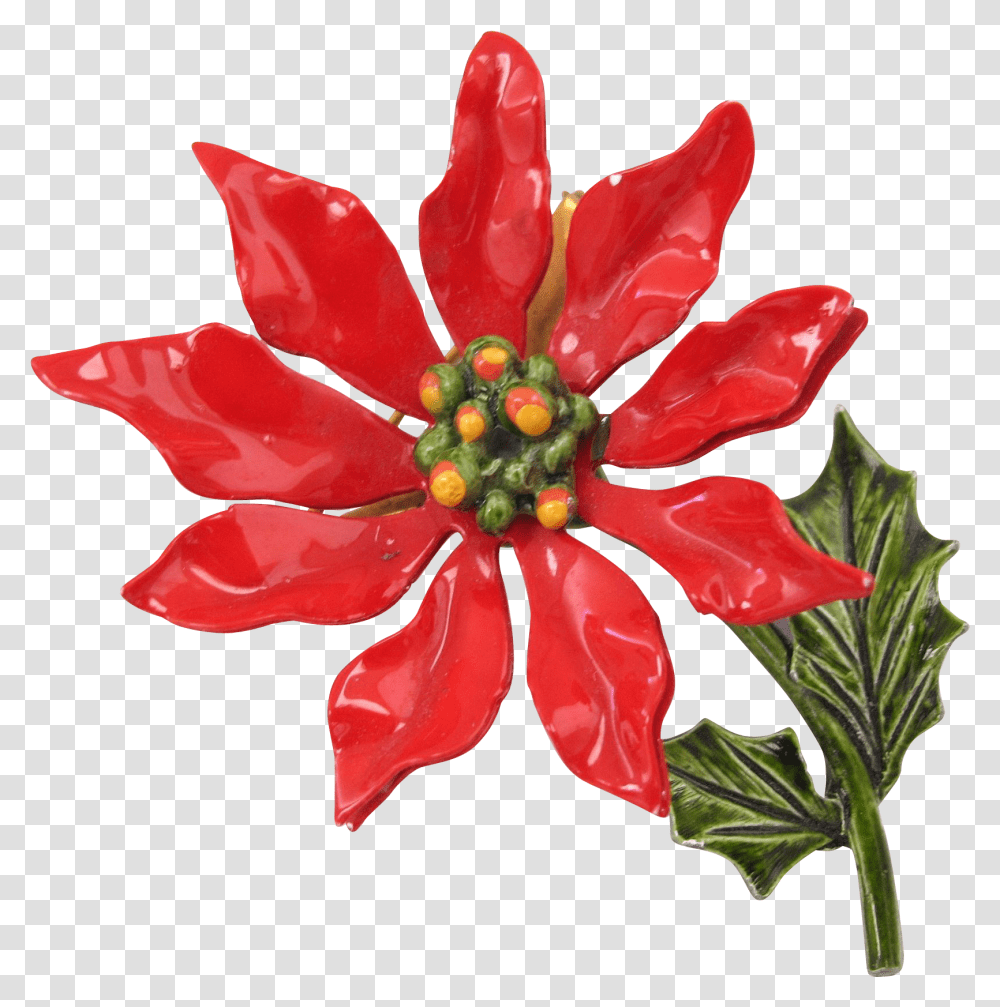 X 1641 Poinsettia, Plant, Rose, Flower, Petal Transparent Png